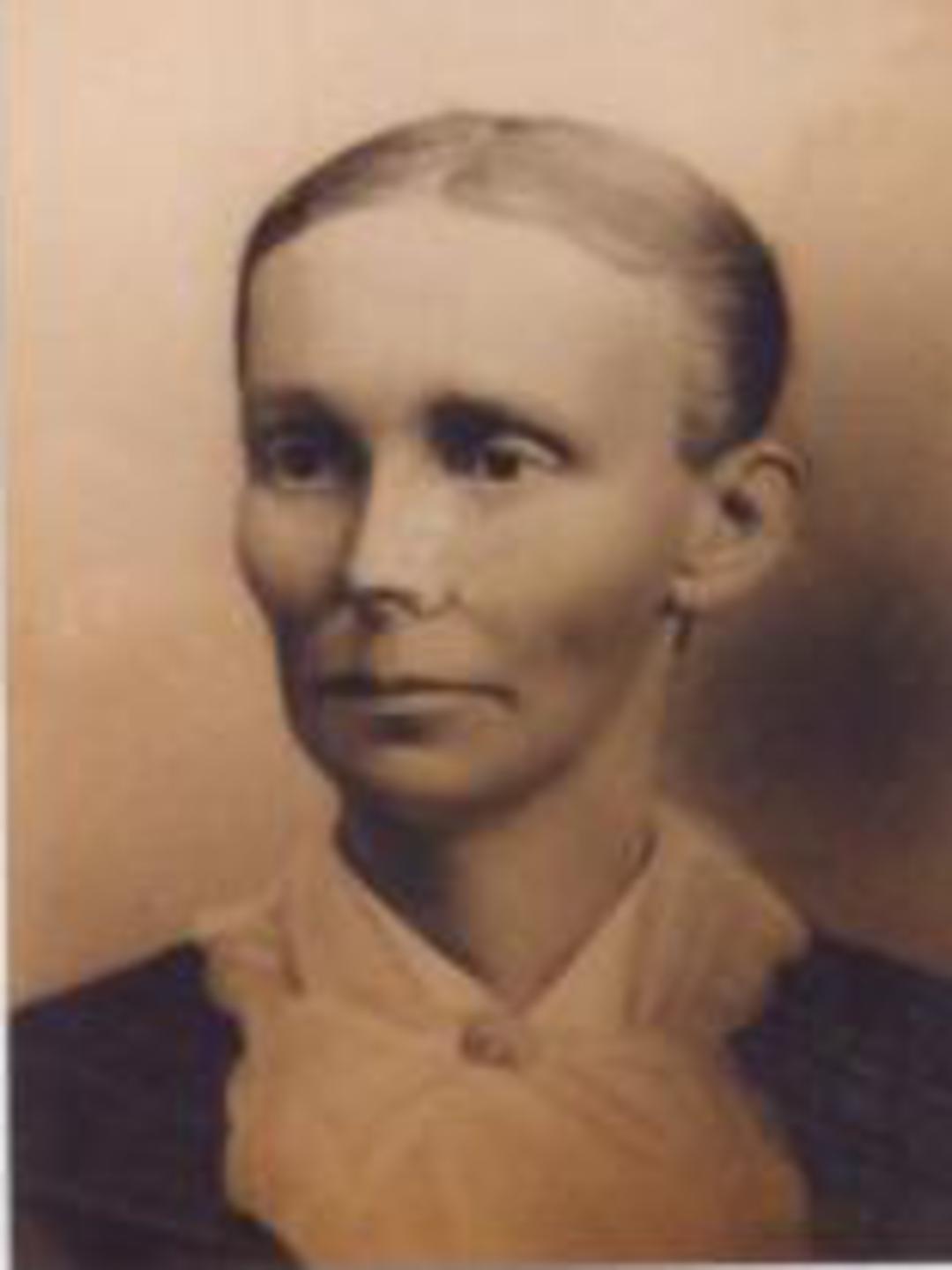 Amanda Ellen Hollingshead (1838 - 1903) Profile